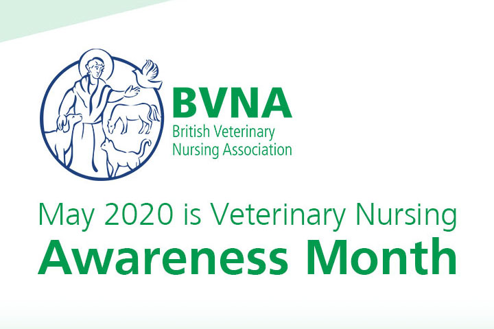 nurse-awareness-month-2020