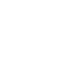 Case Example Icon