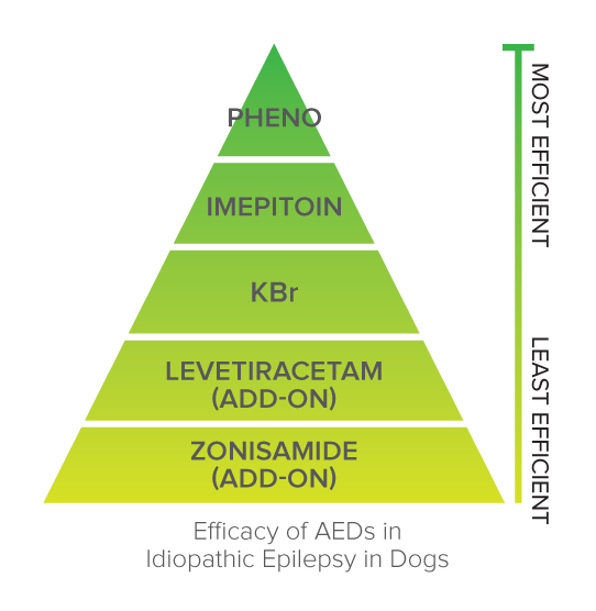 Efficacy of AEDs in Idiopathic Epilepsy in Dogs Diagram